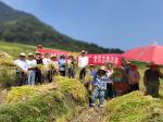 9月19日，三元法院组织党员开展助农秋收党日活动